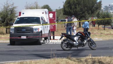 alguien lo tiró desde un vehículo