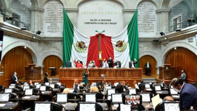 Diputados locales