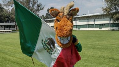 Desde hace 20 años, Ricardo Arturo Servín, porta con orgullo a la mascota auriverde