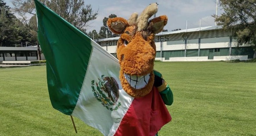 Desde hace 20 años, Ricardo Arturo Servín, porta con orgullo a la mascota auriverde