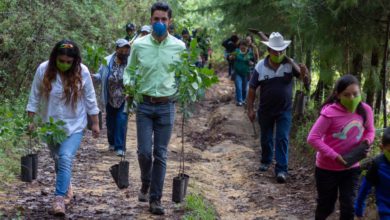 El líder estatal del partido, Pepe Couttolenc Buentello, señaló que los apoyos a este sector son insuficientes