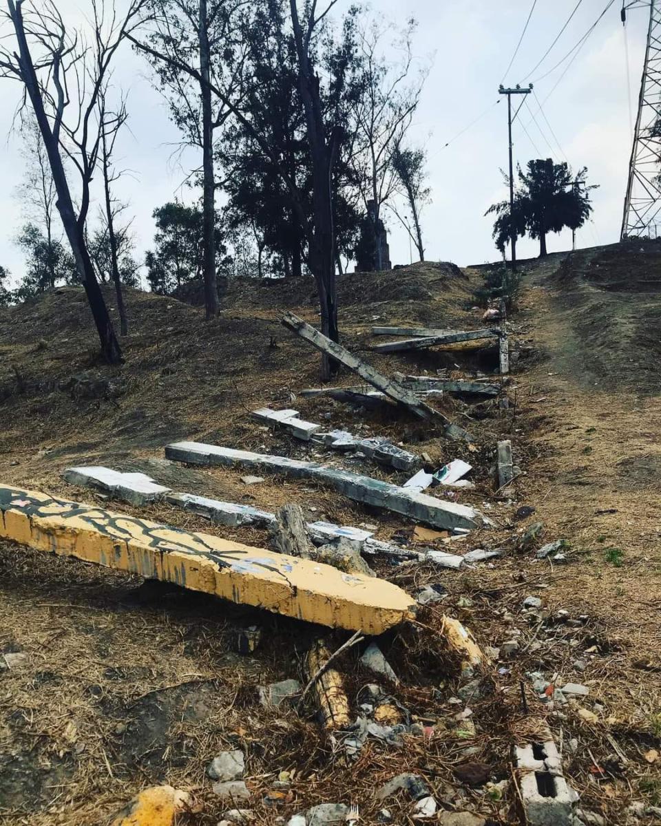 Además de las llamas, también la tala clandestina atenta contra este parque