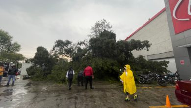 los municipios más afectados fueron Metepec, San Mateo Atenco, Lerma, Ocoyoacac, Mexicaltzingo, Almoloya de Juárez y Toluca