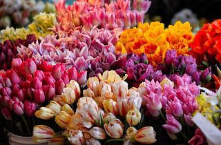 Las flores son un regalo tradicional para el 10 de mayo