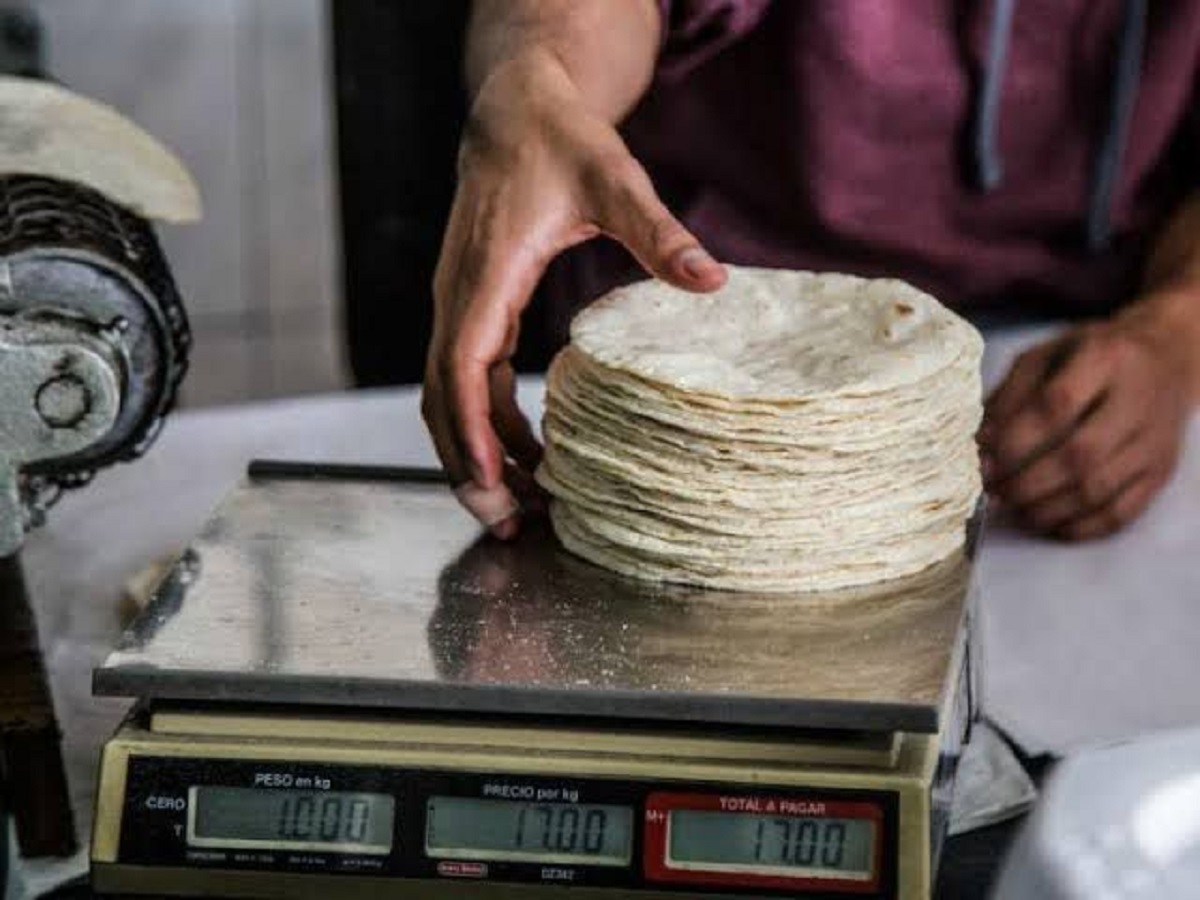 Kilo de tortillas de maíz sobre báscula