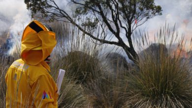 Combatiente de incendios del Edomex