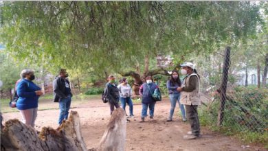 Integrantes de la asociación en trabajos de limpieza