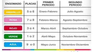 verificación vehicular