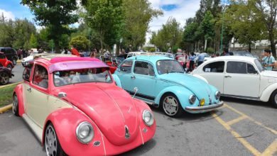 Vochos estacionados en muestra del vehículo