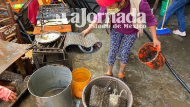 Mujer limpiando su casa