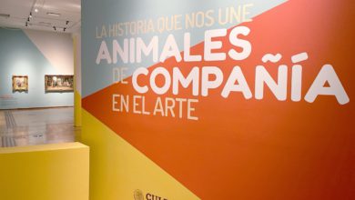 Muestra el amor a los animales de compañía