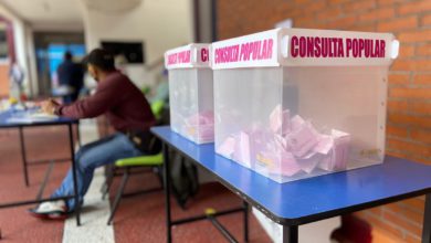 Consulta popular baja participación