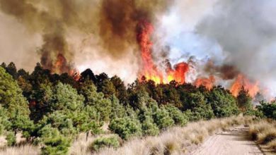 incendios forestales