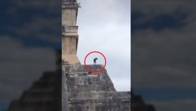 Perrito en Chichén Itzá