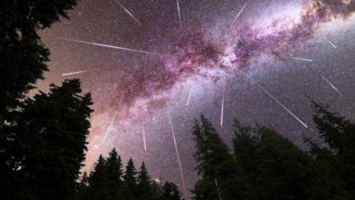 lluvia de estrellas