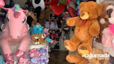 productores de peluches en Xonacatlán