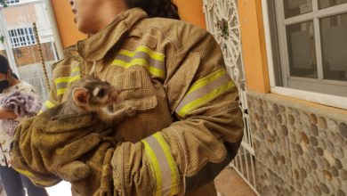 Bomberos Ixtapaluca