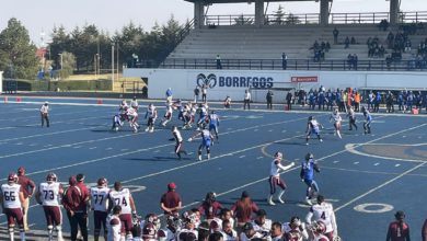 Borregos Tec Toluca