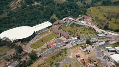 Universidad Pública de Naucalpan