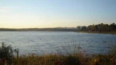 Presa Lago de Guadalupe