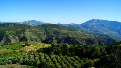 Sierra de Guadalupe