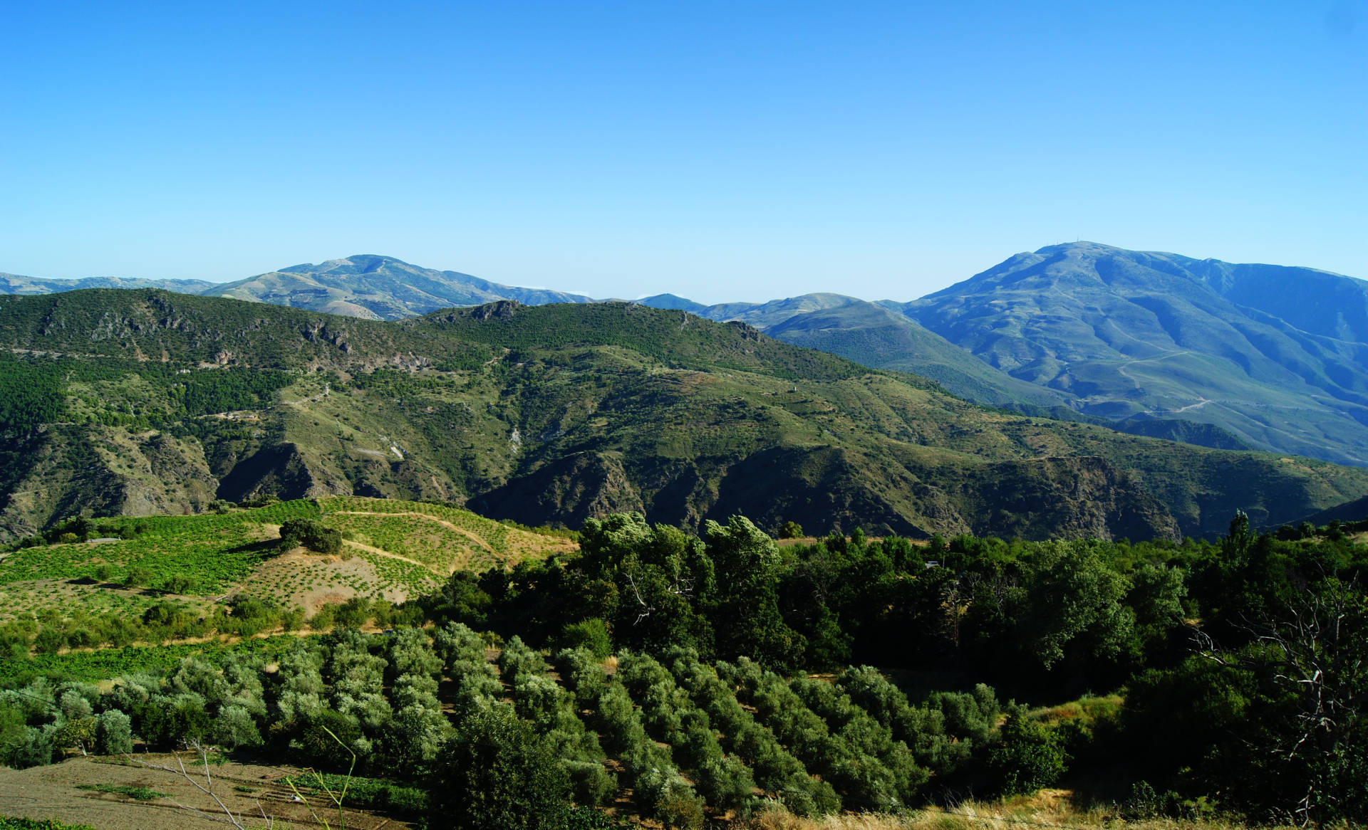 Sierra de Guadalupe