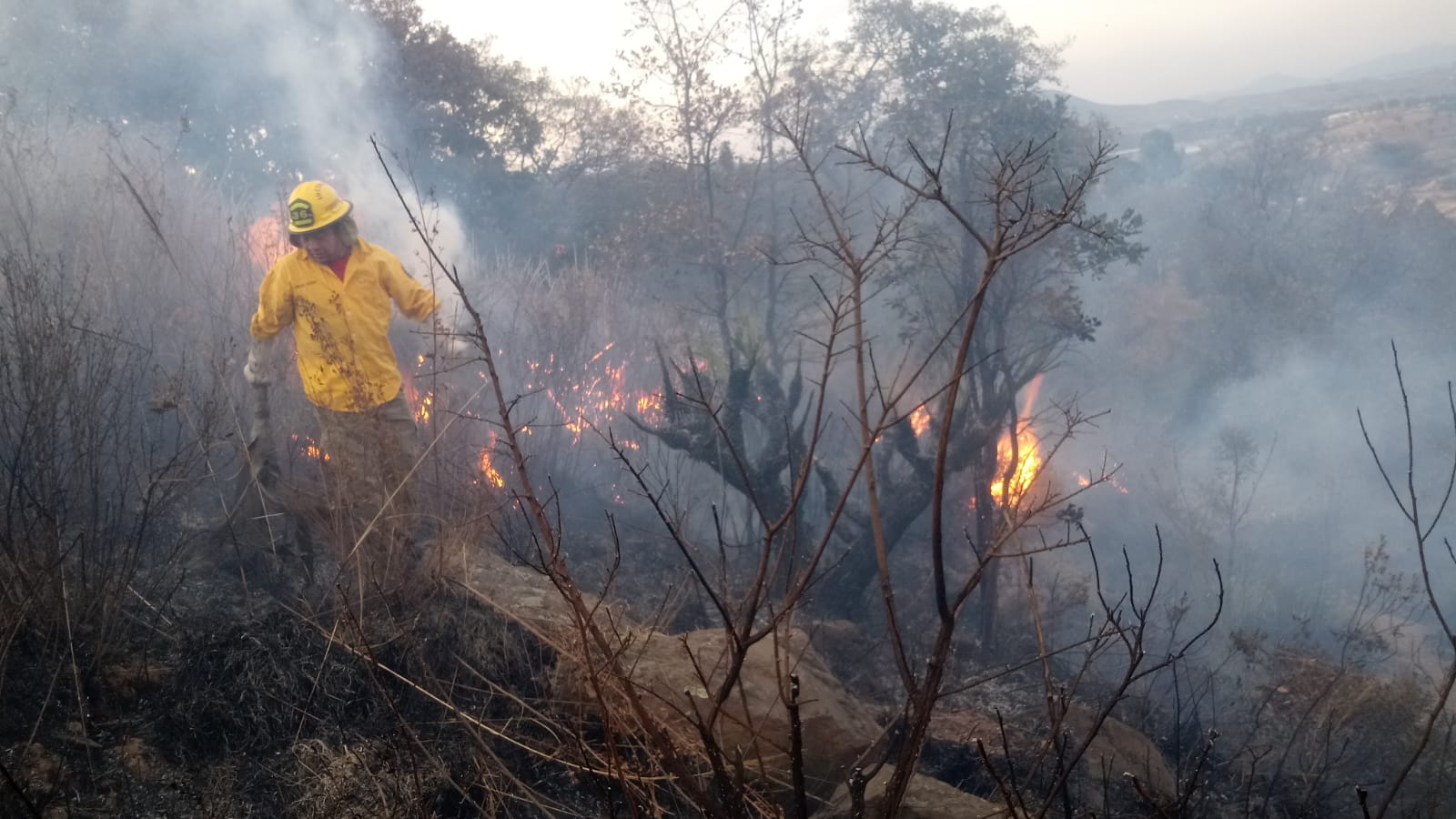 Bomberos de Naucalpan