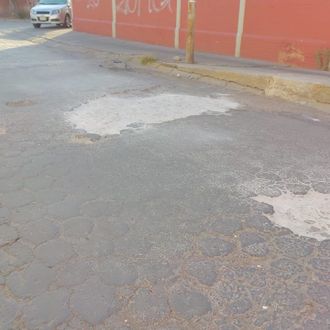 Baches