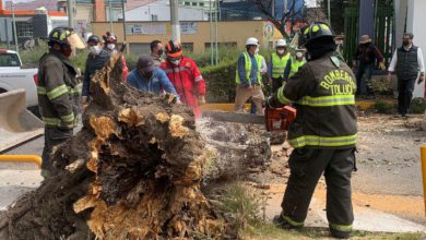 fuertes vientos en Valle de Toluca