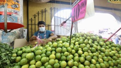 precios de limón y aguacate