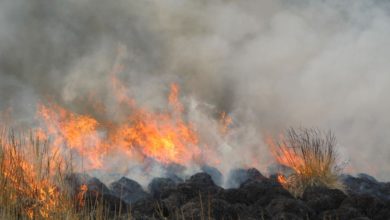 Incendios forestales