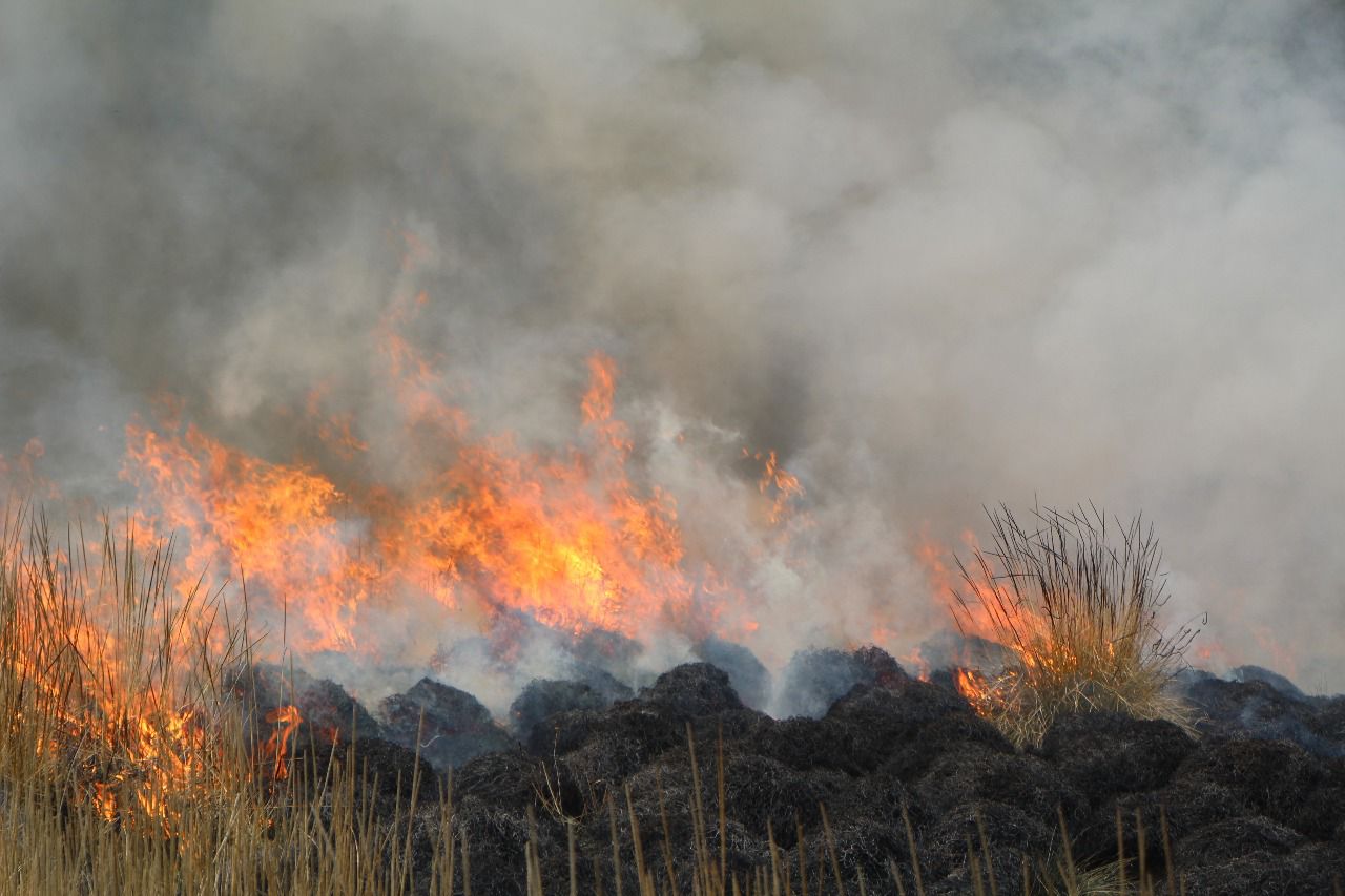 Incendios forestales