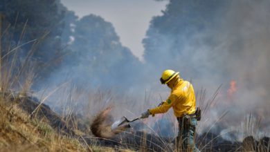 Combatientes de incendios