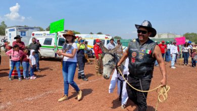 Feria del Burro