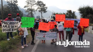 tala clandestina en Ocuilan