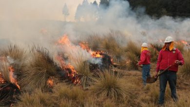 Edomex primer lugar en incendios forestales