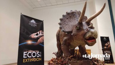 exposición de dinosaurios