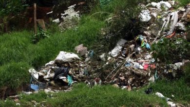 sanciones para quienes tiren basura en una barranca