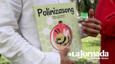 Polinizasong