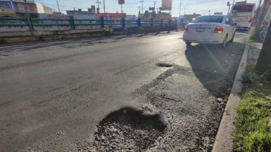 Baches en Toluca