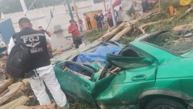 árbol sobre auto en Ecatepec