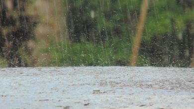 fuertes lluvias