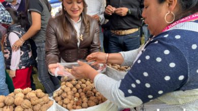 Festival de la Nuez en Amecameca fue inaugurado tras suspensión