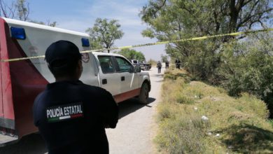 homicidios reportados