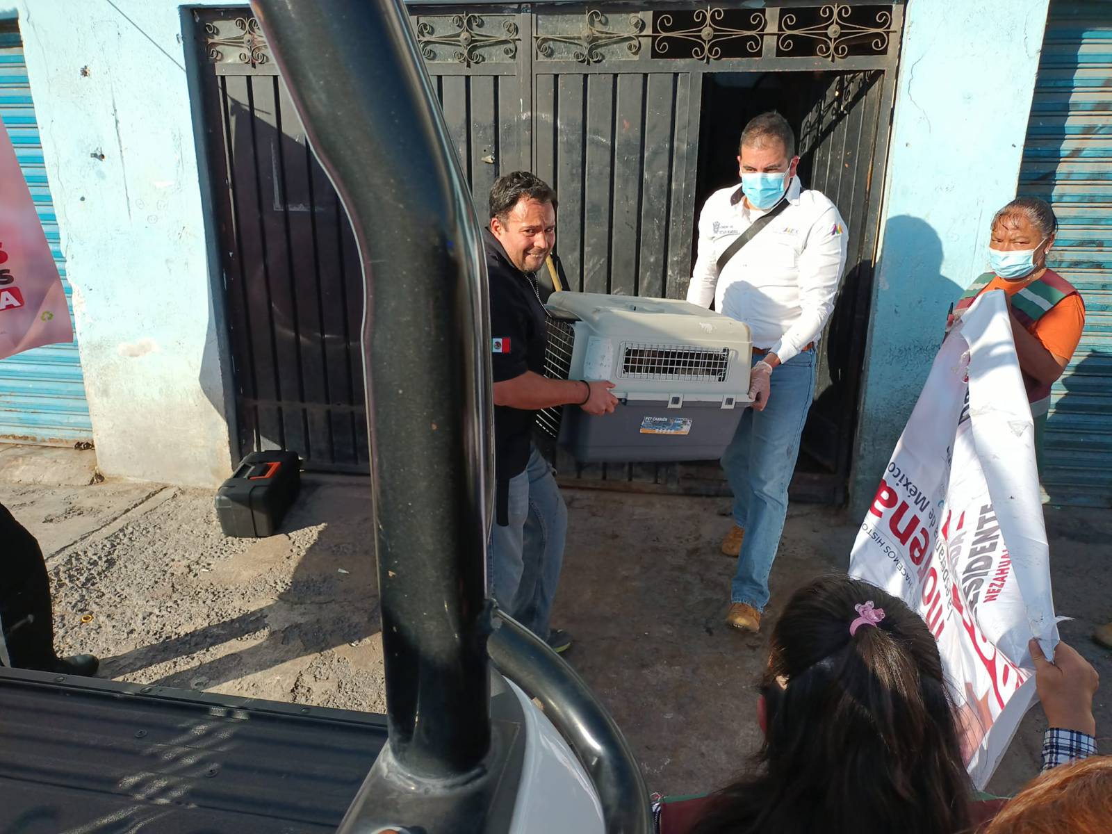 refugio para perros rescatados