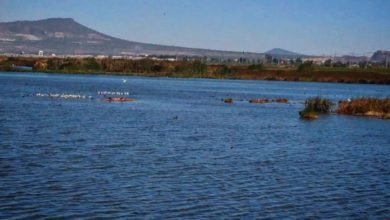 Lago de Texcoco