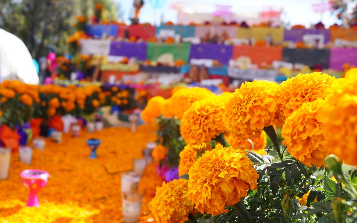 Camino de cempasúchitl en ofrenda prehispánica