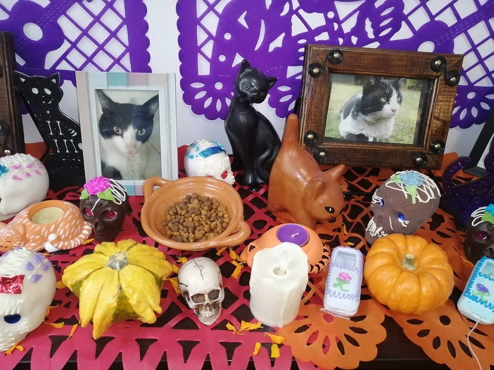 ofrenda para las mascotas