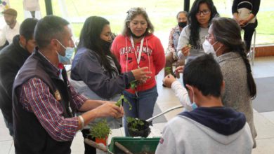 Festival Bosque de Esperanza