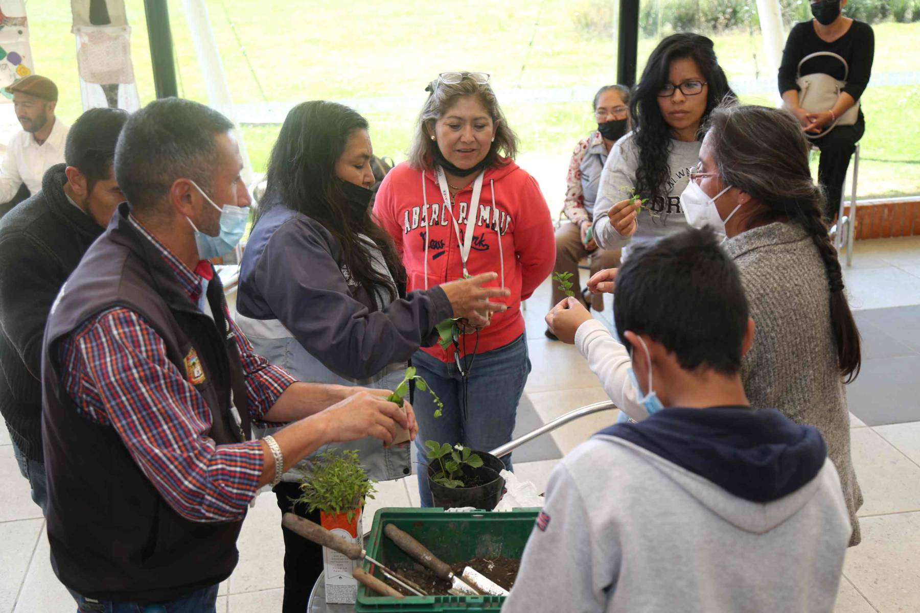 Festival Bosque de Esperanza